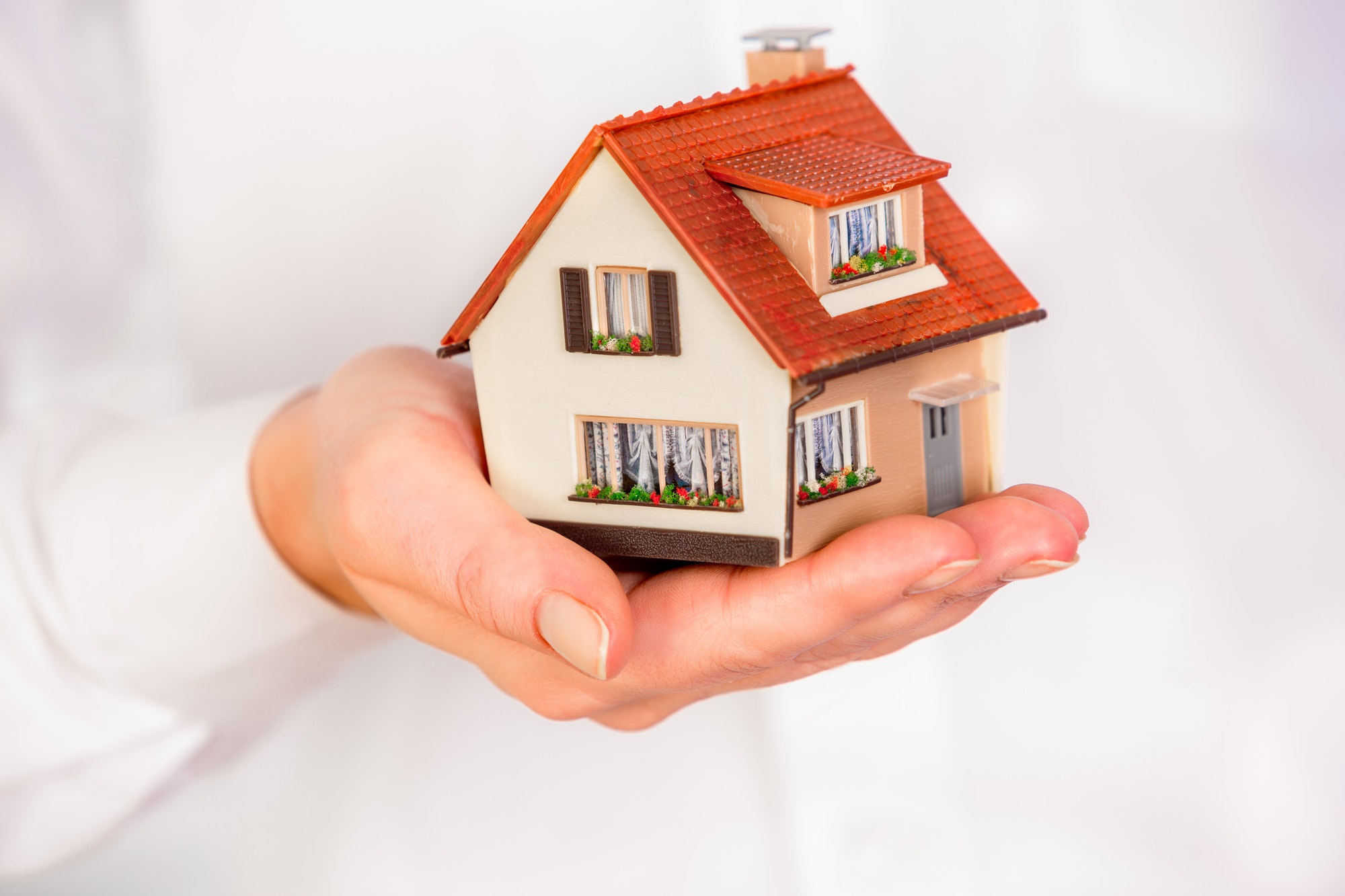 House in human hands