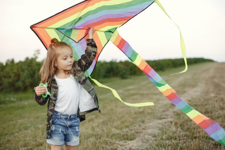 Cute little child in a summer field with a Kite