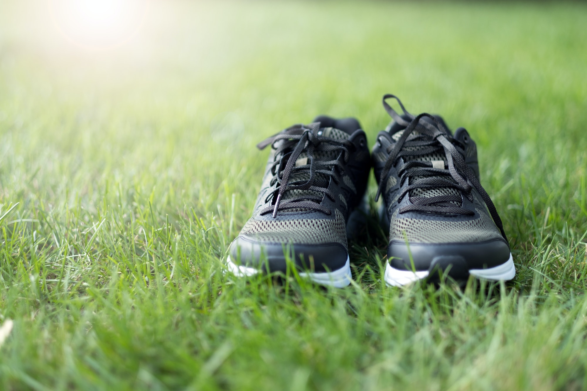 Pair of man sport shoes on green field